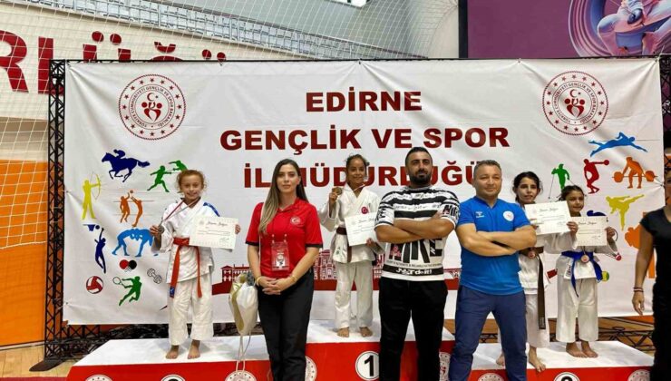 Edirne’de gururlandıran ‘Sakarya’ tablosu