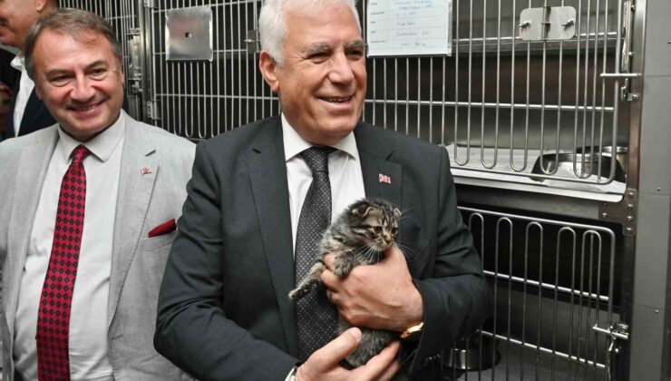 Büyükşehir’den can dostları için önemli proje