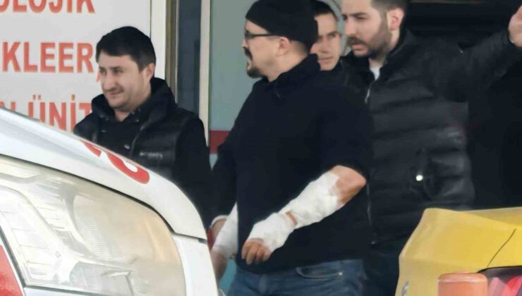 Köpek, kollarını parçaladı