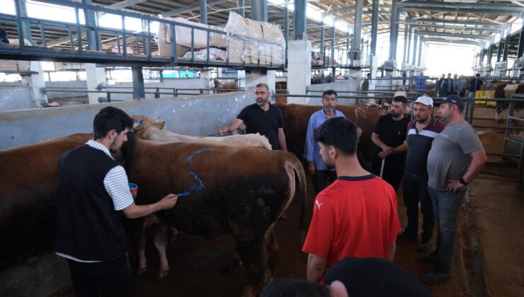 İnegöl Modern Hayvan Pazarı Beşinci Kez Bayram Sevinci Yaşattı
