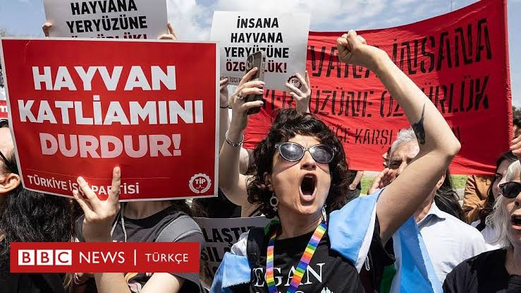 SORUMLULUKTAN KAÇAN BİR YAKLAŞIM