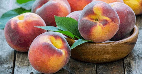 Bursa Ovası’nın Bereketine Sahip Çıkalım