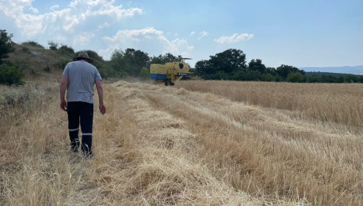Büyükşehir’den kırsaldaki üreticilere biçerdöver desteği
