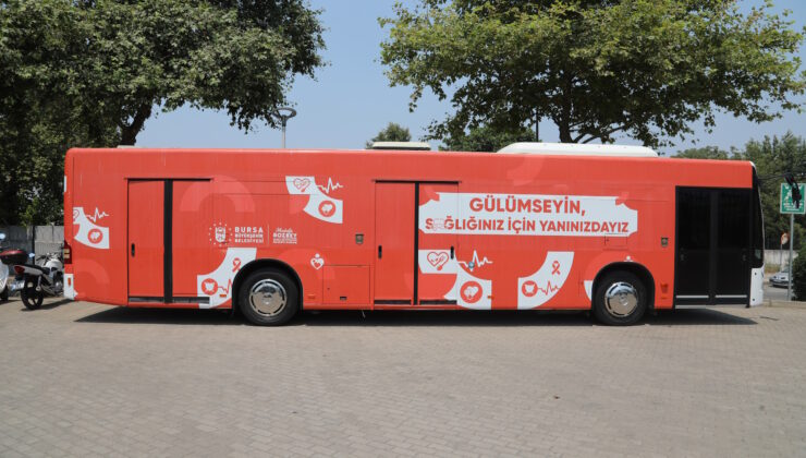 Büyükşehir, yangın bölgesindeki yaraları sarmaya başlıyor