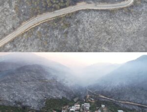 “Tiksiniyorum Bu Siyasetten!”