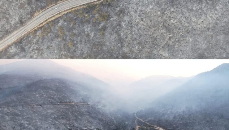 “Tiksiniyorum Bu Siyasetten!”