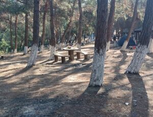 Gemlik Küçükkumla’da Mangal Skandalı!