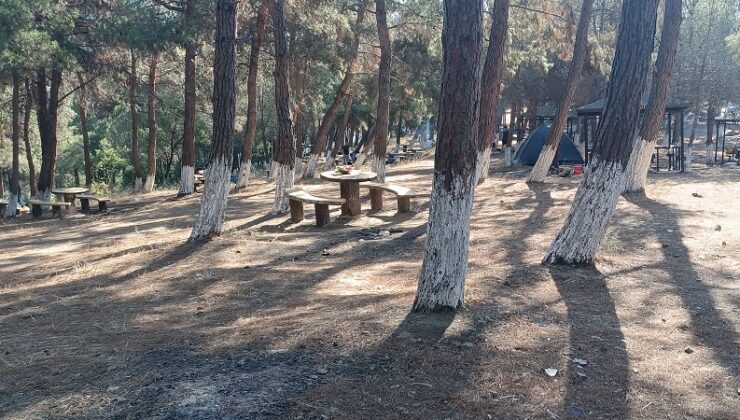 Gemlik Küçükkumla’da Mangal Skandalı!