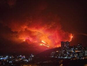 Yanan Ağaçlar Değil, Ortak Vicdanımız!