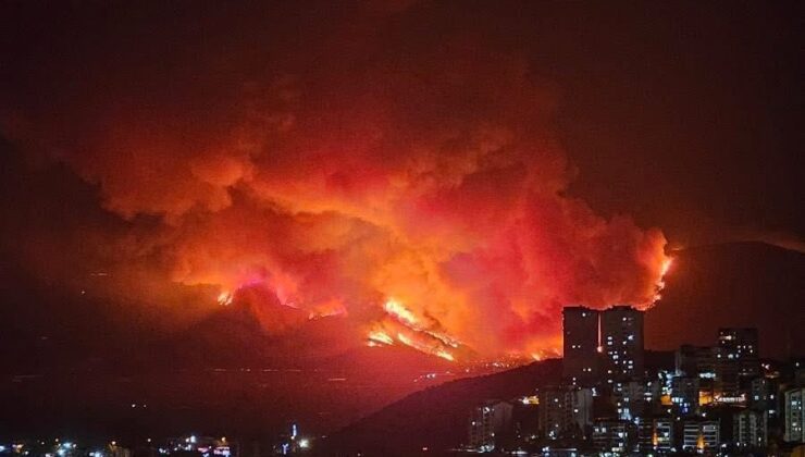 Yanan Ağaçlar Değil, Ortak Vicdanımız!