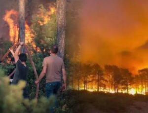 Biz Yandık, Ama Teslim Olmadık!