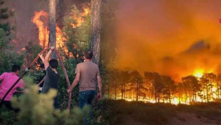 Biz Yandık, Ama Teslim Olmadık!