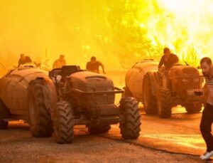 Bu Bir Fırsat: Türkiye’nin 300 Yıllık Yeşilini Kurtarabiliriz”