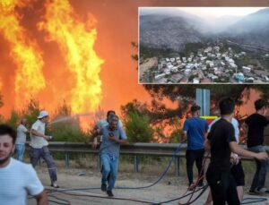 Orman Yangınları Karşısında Artık Sessiz Kalmayacağız!