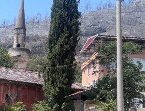 “Yediğimiz Her Meyve Geleceğin Ormanıdır!”