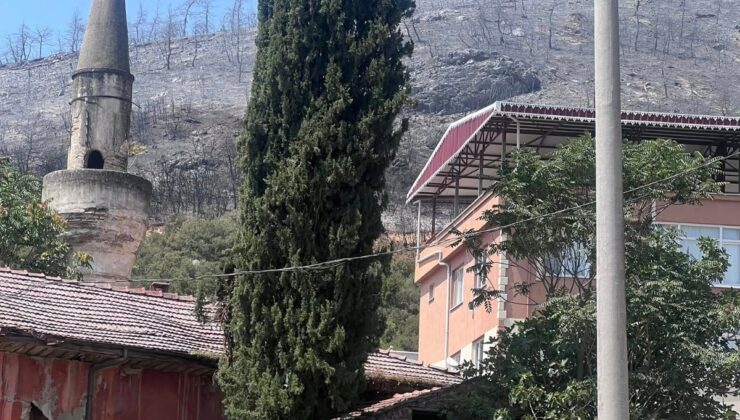 “Yediğimiz Her Meyve Geleceğin Ormanıdır!”