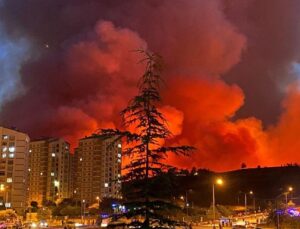 Bu Yangınlar Doğal Değil, Planlı Talanın Ateşi