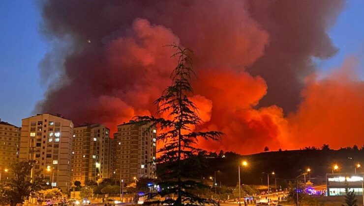 Bu Yangınlar Doğal Değil, Planlı Talanın Ateşi