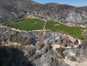 “Unutulan Yangın Yolları Hayat Kurtarır”