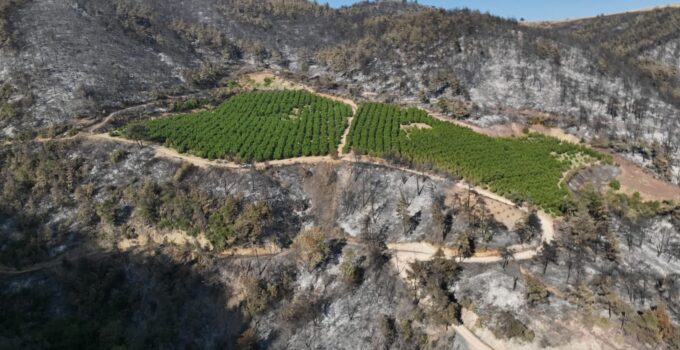 “Unutulan Yangın Yolları Hayat Kurtarır”