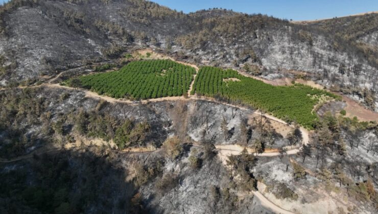 “Unutulan Yangın Yolları Hayat Kurtarır”