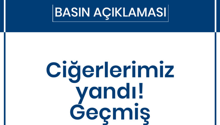 Ciğerlerimiz yandı! Geçmiş olsun Bursa