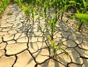 OVADER Başkanı Sinan Kaya’dan Sert Çıkış