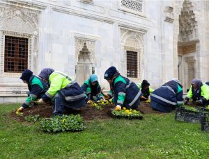 BURSA KIŞIN DA ÇİÇEK BAHÇESİNE DÖNÜŞÜYOR