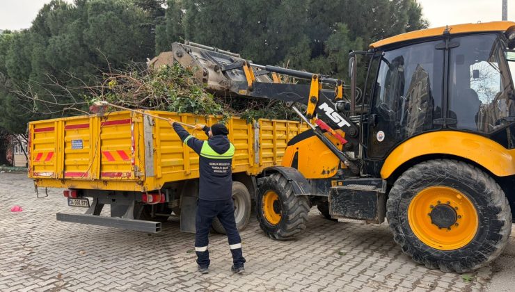 Sosyal Yaşam Parkı’nda Bakım ve Düzenleme