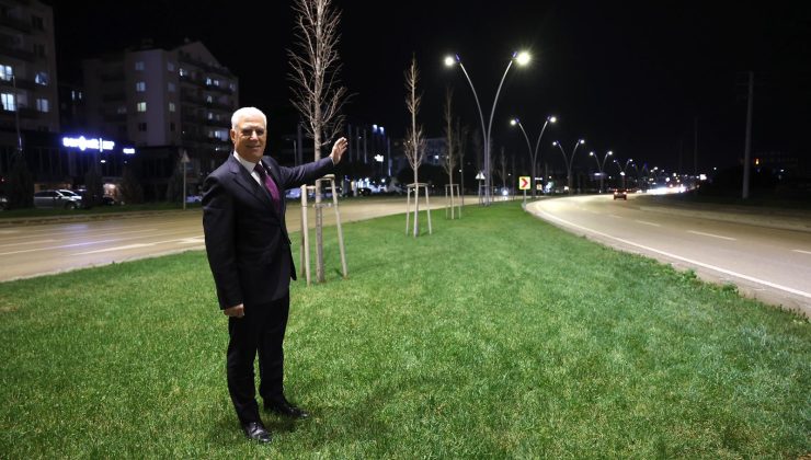 ÇALI YOLU BÜYÜKŞEHİR İLE AYDINLANDI